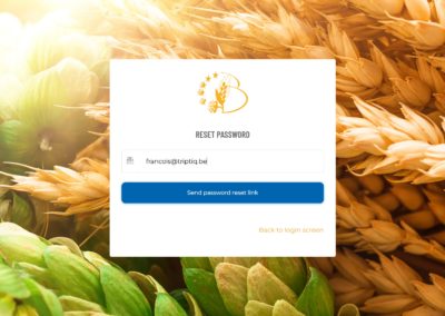 Password reset screen